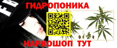 первитин Пенза