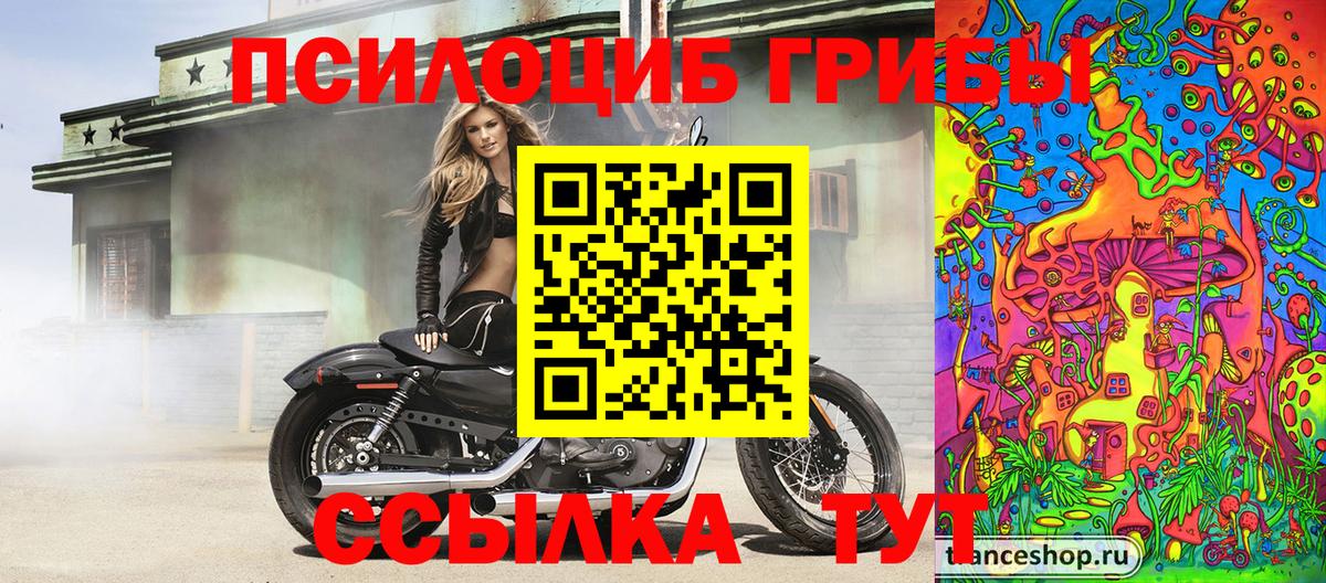 Россошь  где купить наркоту  Вход с VPN  Галлюциногенные грибы Psilocybine cubensis  Галлюциногенные грибы Psilocybe 